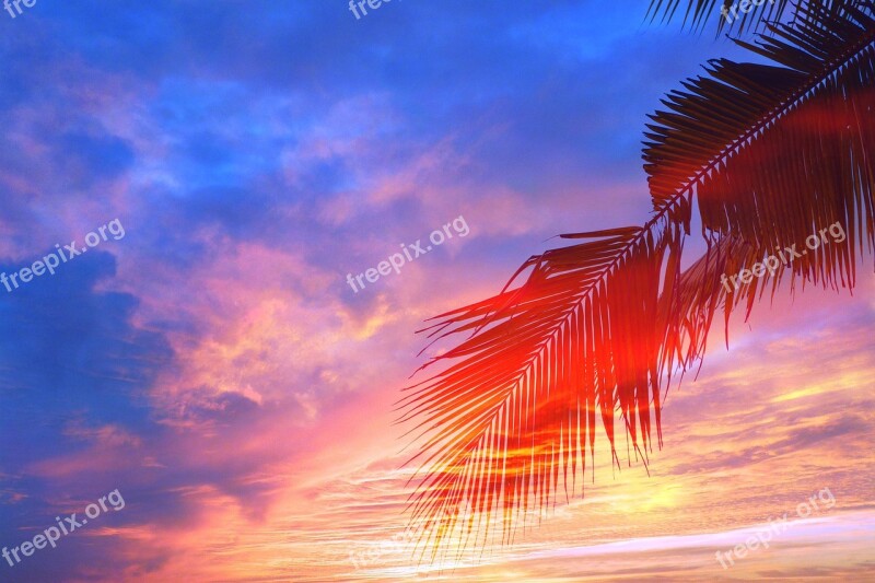 Artistic Sunset Landscape Nature Sky