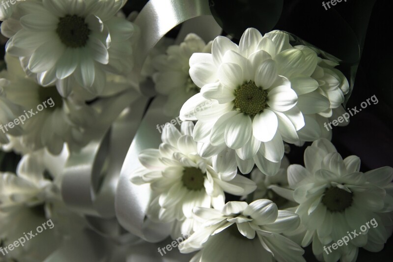 Bouquet Flowers Beautiful Flowers Composition Free Photos