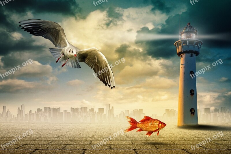 Composing Surreal Skyline Seagull Fish