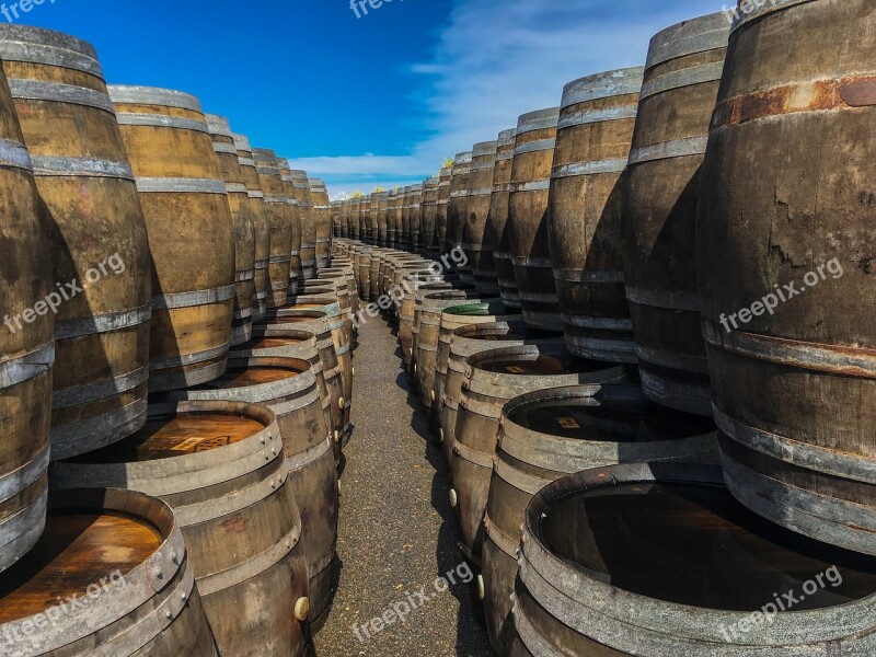 Barrels Wine Winery Cask Rioja