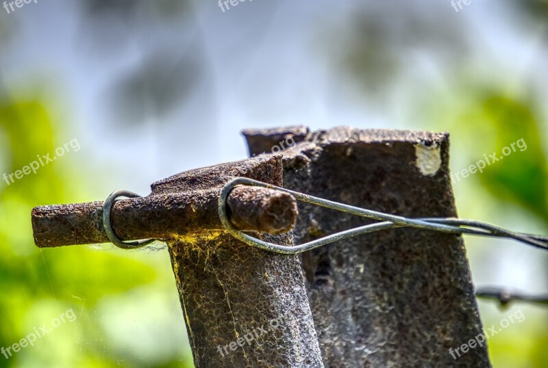 Iron Stake Iron Pole Rust Rusty Wire