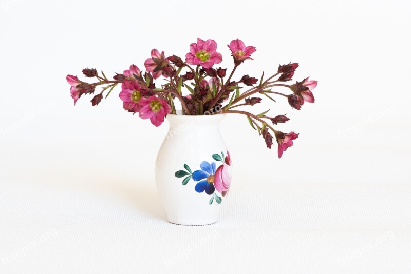 Flowers Vase Flower Vase Pink Pink Flowers