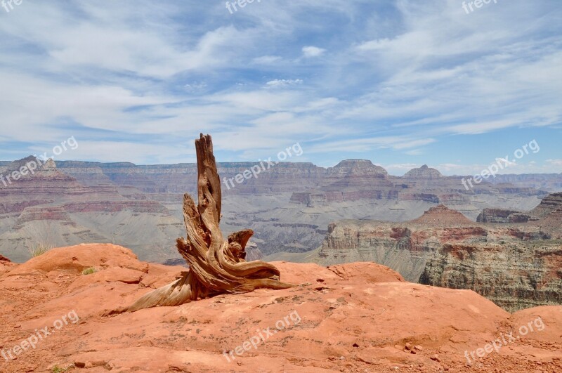 Grand Canyon America National Park Nature Landscape