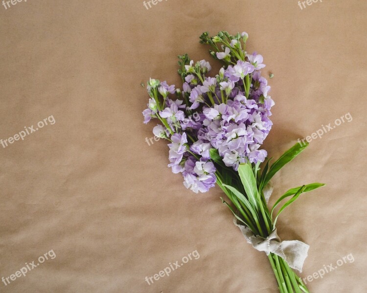 Flowers Flatly Top Composition Mockup