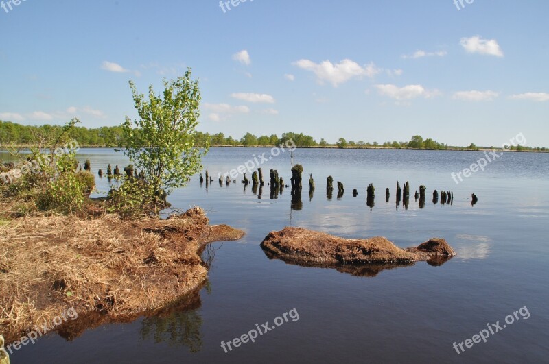 Eternal Sea Moor Moorland Nature Conservation Swamp