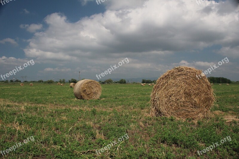 Sky Blue Blue Sky Clouds Blue Sky Background Day