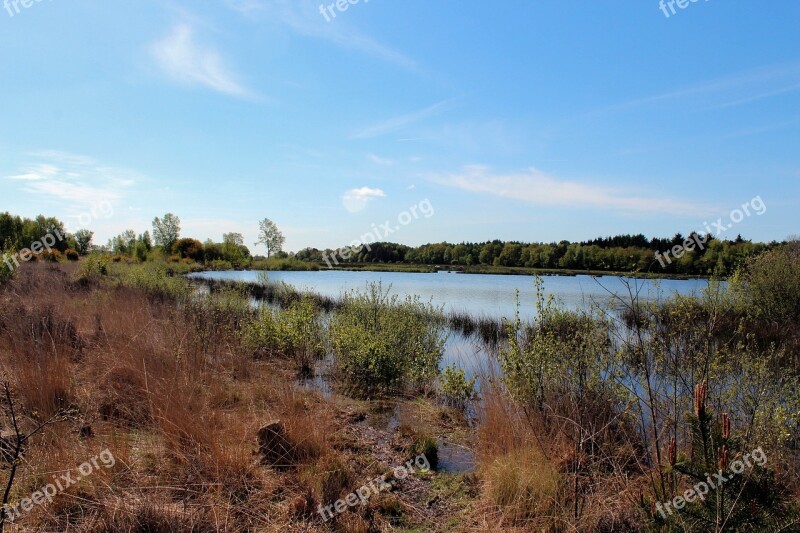 Landscape Heide Water Nature More