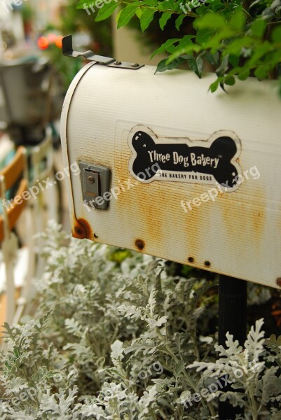 Mail Box White Bone Free Photos