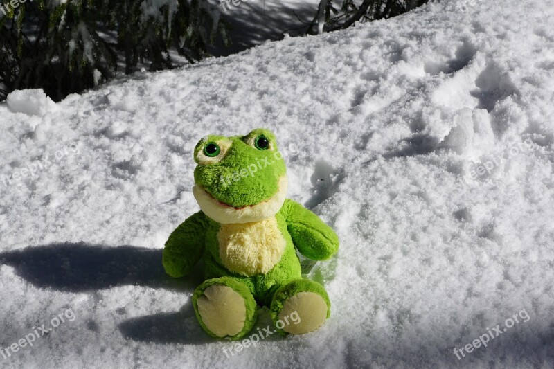 Frog Snow Winter Christmas Nature