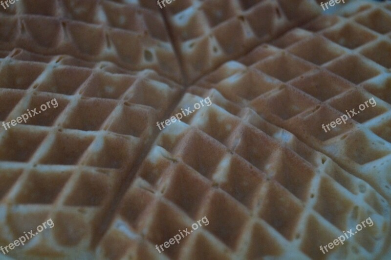 Waffles Close Up Delicious Sweet Dish Dessert