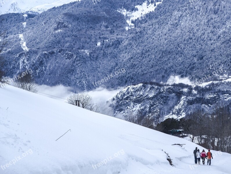 Jura Fir Snow Nature Landscape