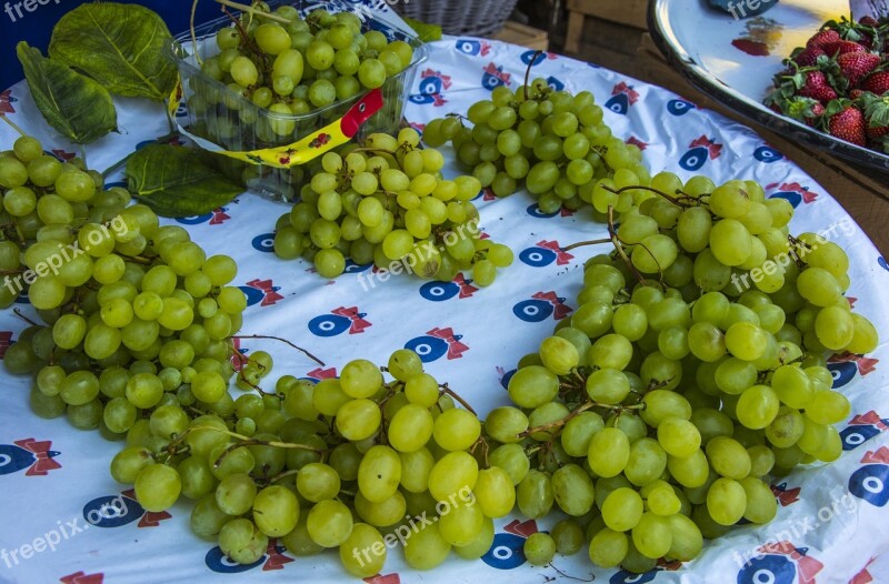 Raisin Fruit Fresh Healthy Garden