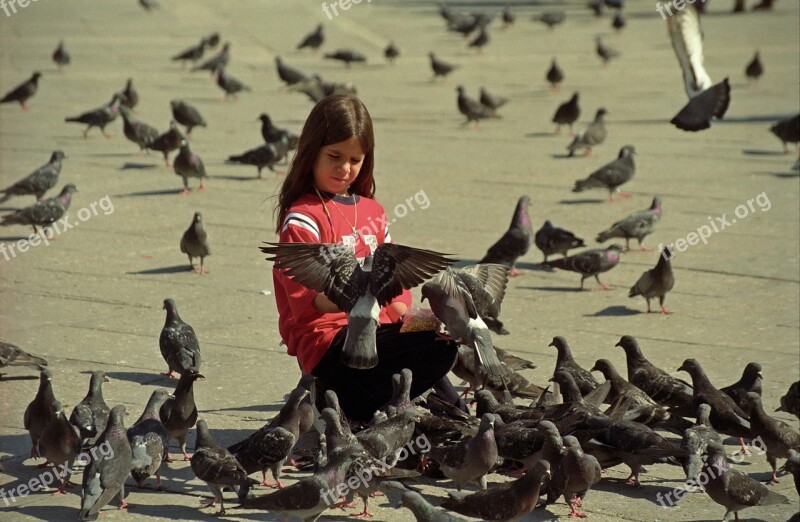 Girl Bird Happines Venezia Free Photos