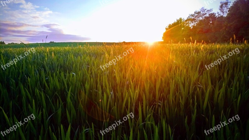 Landscape Tree Spring Beautiful Landscape Village