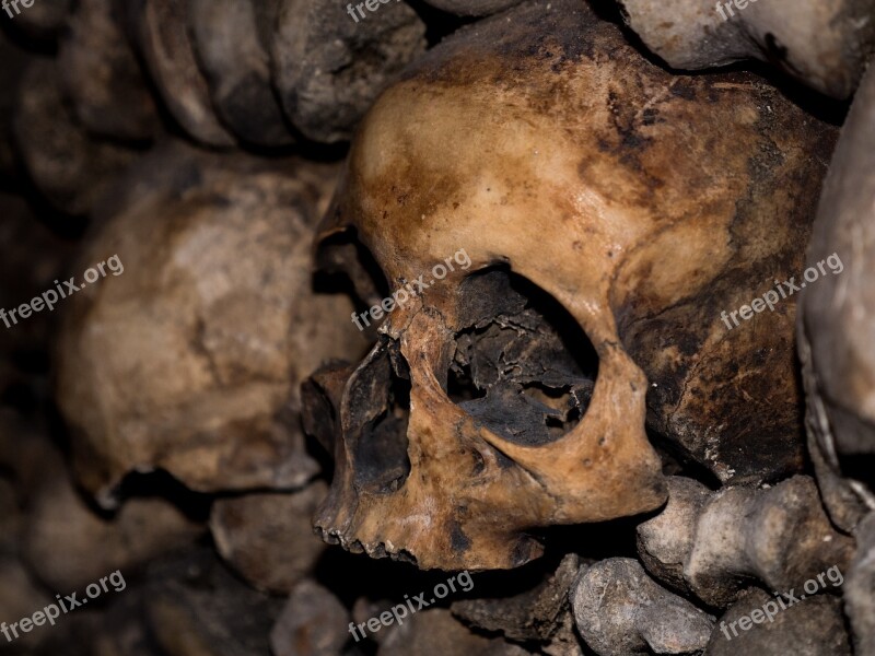 Skull And Crossbones Catacombs Horror Skeleton Dead