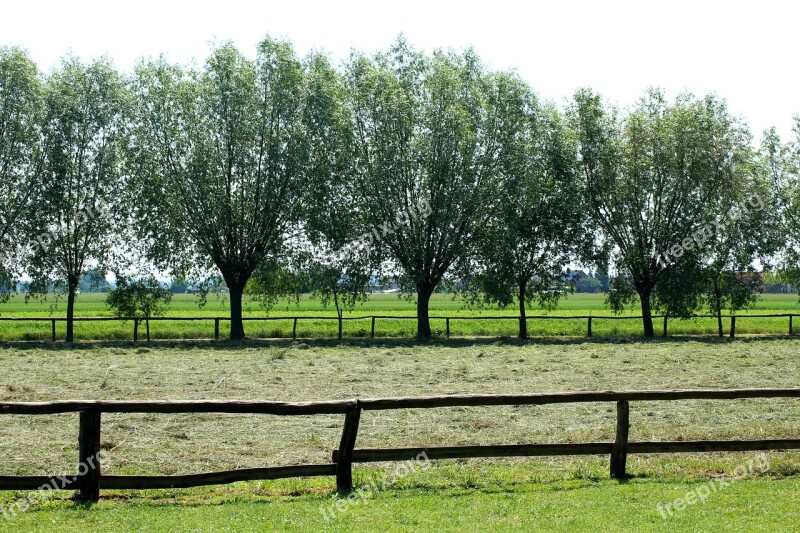 View Landscape Rural Nature Tree Landscape