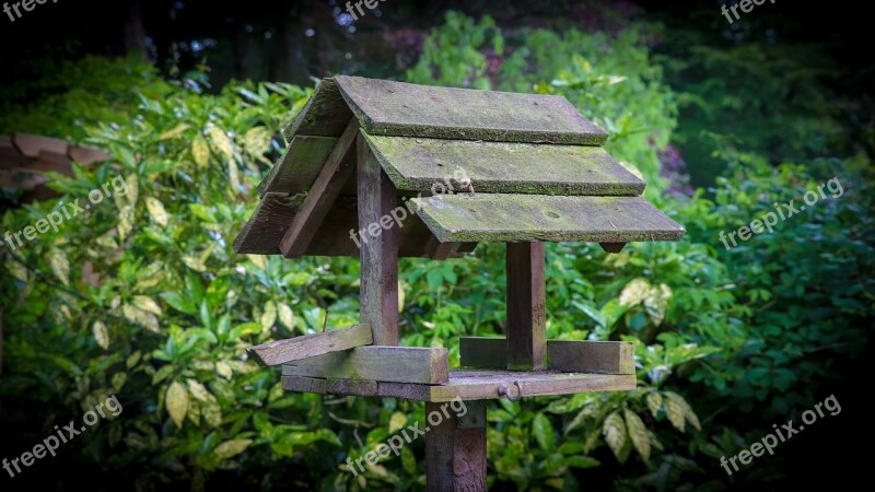 Table Garden Birds Bird Table Free Photos