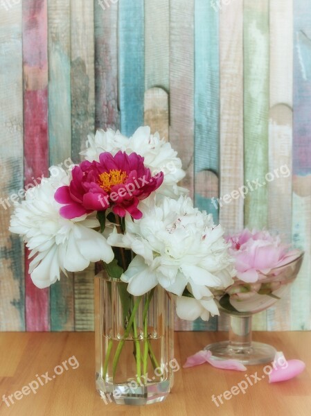 Peony Peony Bouquet Flowers Summer Spring