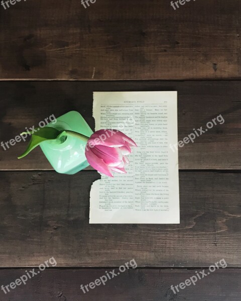 Overhead View Tulip Flower Table Vintage