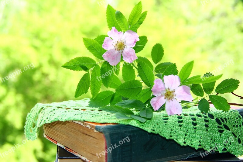 Flowers Leaves Pink Dogrose Napkin