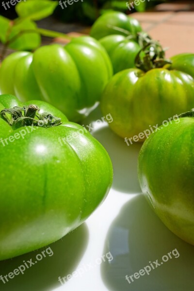 Fried Green Tomatoes Tomatoes Green Vegetables Food