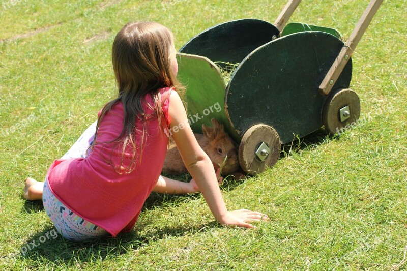 The Little Girl Fun Nature Farm Animals Symbiosis