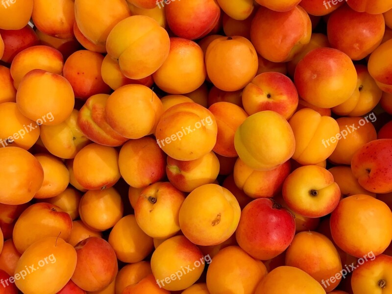 Apricots Fruits Fruit Eat Food