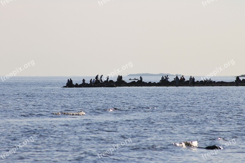 Gulf Of Finland The Baltic Sea People Beach Sunset