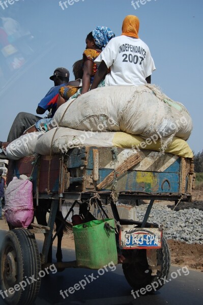 Transport Senegal Free Photos