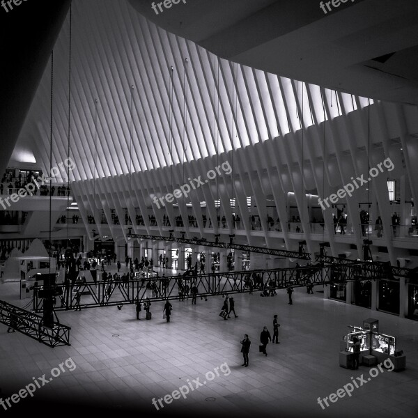 Station Nyc Transportation Manhattan Calatrava