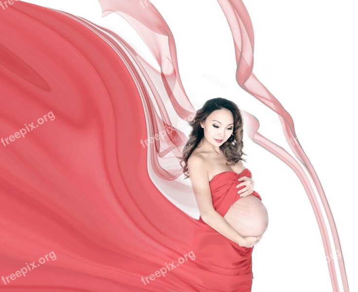 Maternity Pregnant Pregnat Woman Expecting Motherhood