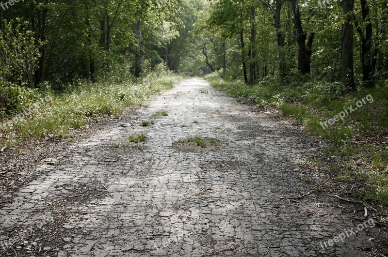 Abandoned Road Road Abandoned Asphalt Old