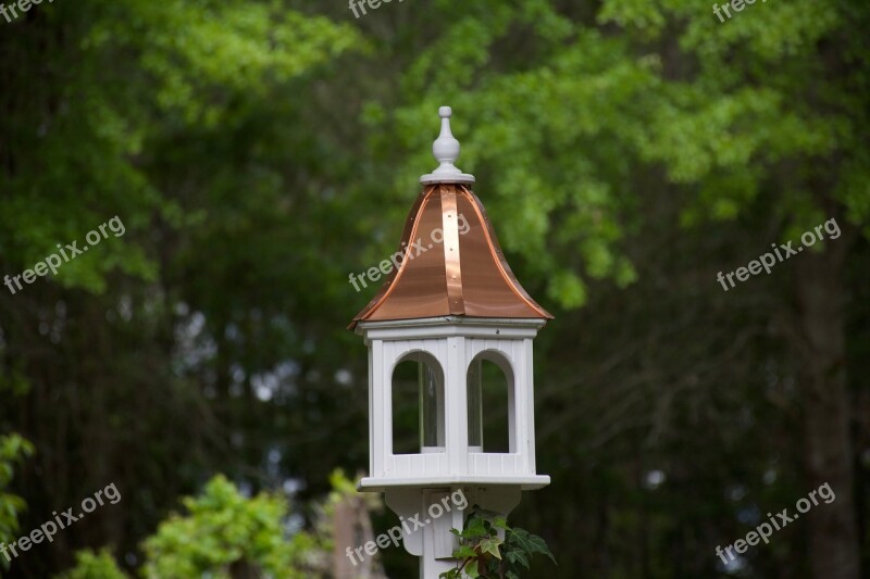 Bird Feeder Backyard Free Photos