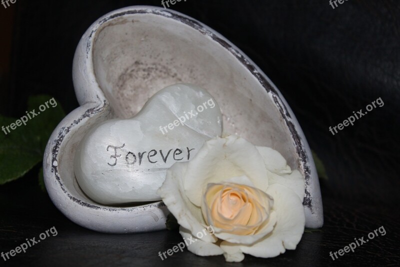 Love White Rose Wedding Heart Romantic