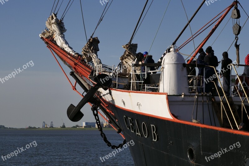 Shipping Ship Sailing Vessel Sail Training Ship Sail Training Ship Sedov