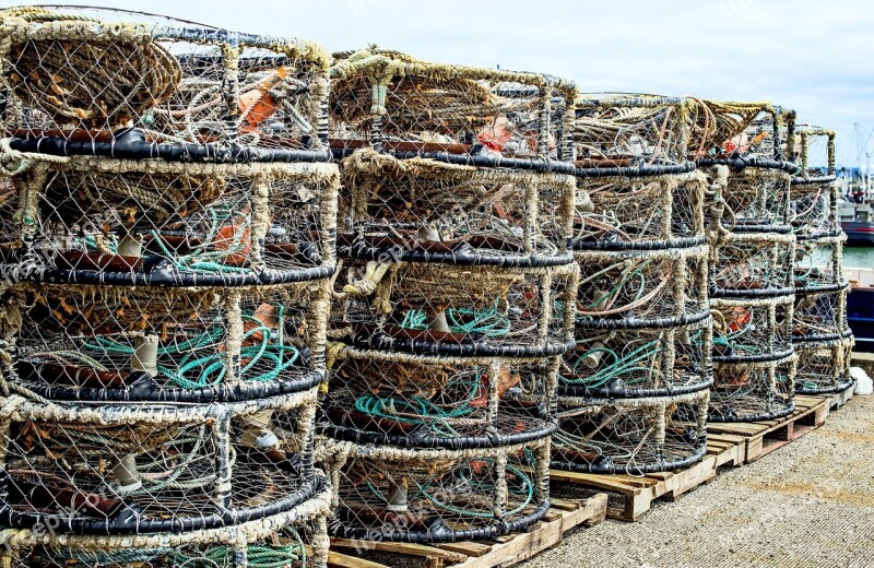 Westport Crab Pots Crab Crabbing Fishing Offshore