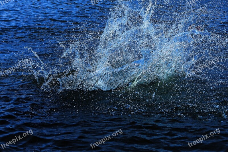 Water Flowing River Nature Flowing Natural