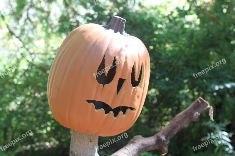 Halloween Holiday Pumpkin Scary Spooky