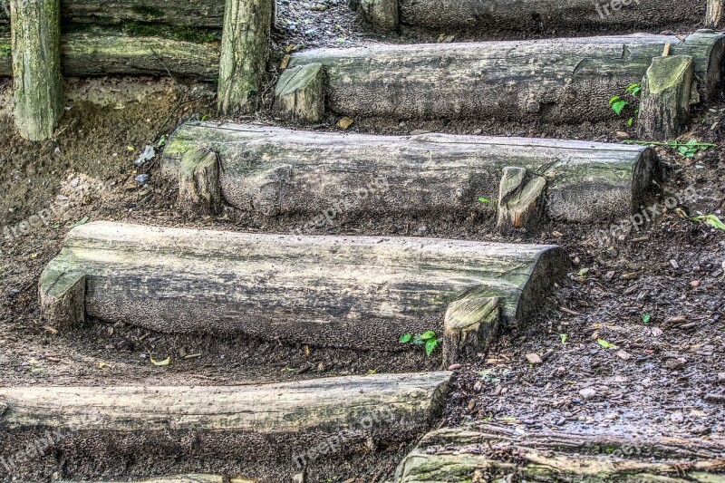 Stairs Wood Stairs Top Rise Playground