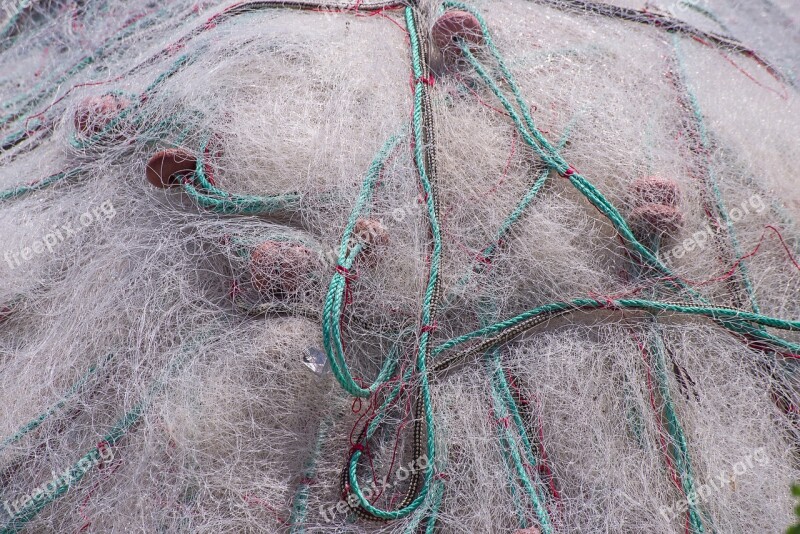 Net Fishing Net Fishing Fish Cord