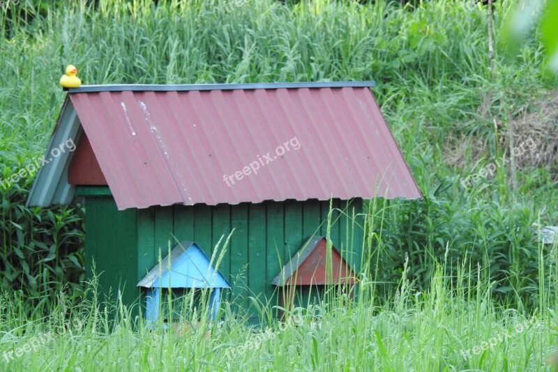 Ul Pasieka Bees Distributional Effects Beekeeping