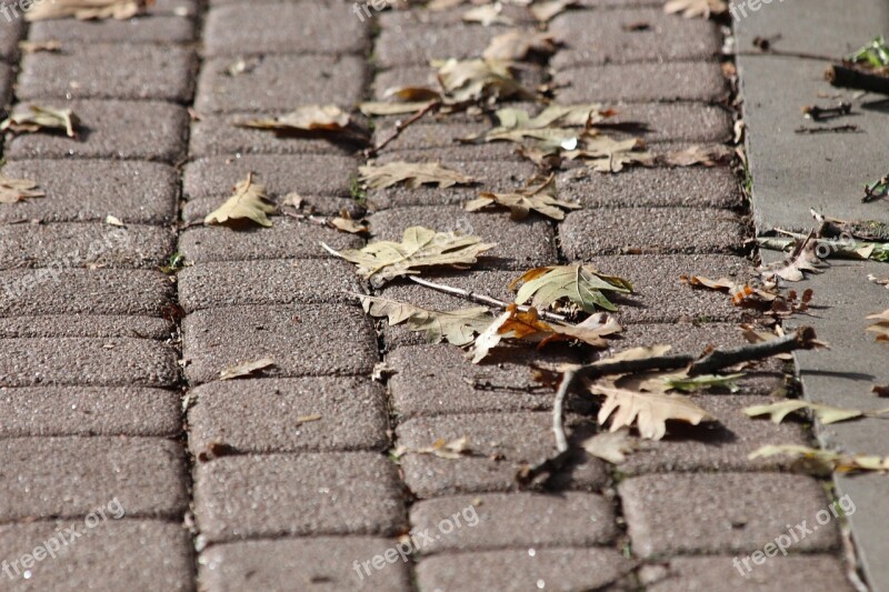 Bridge Paving Stone Pavement Stone Street