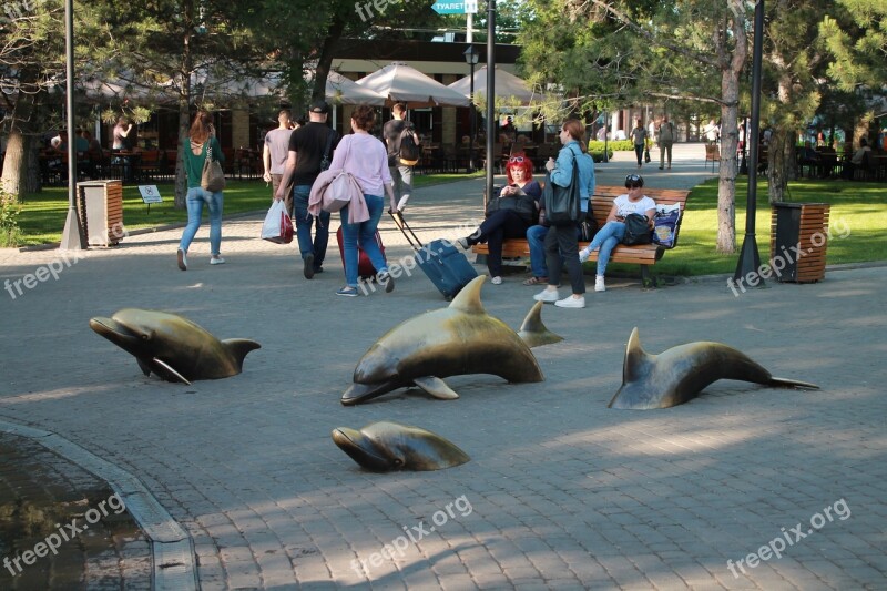 Sculpture Dolphins Asphalt Ukraine Odessa