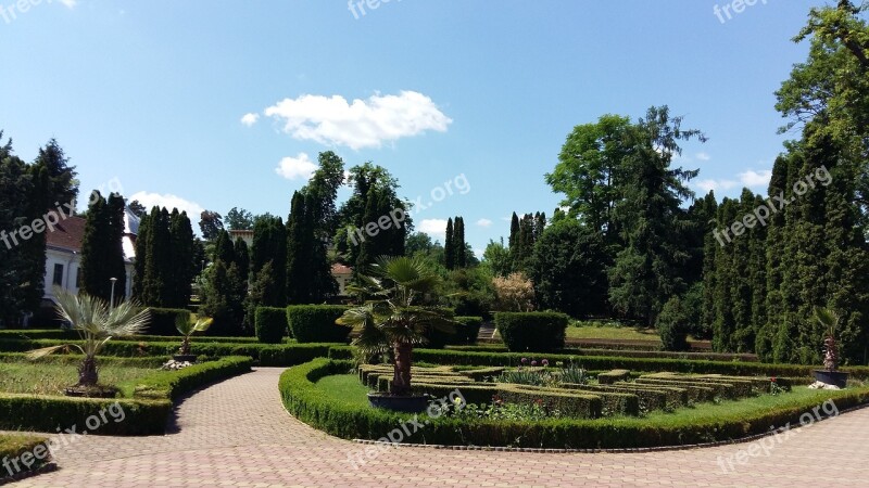 Garden Always Green Background Free Photos