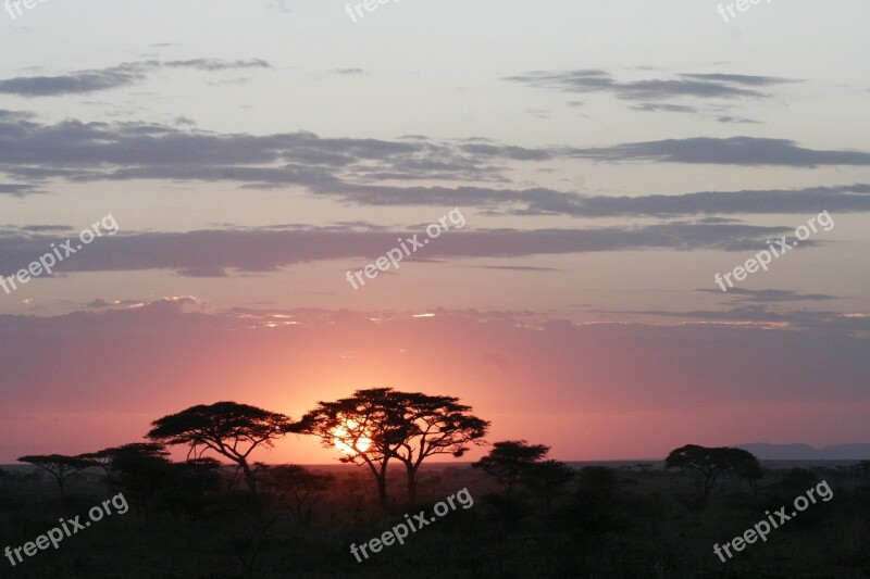 Sunset Africa Tan Sunlight Color