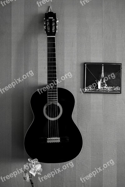 Guitar Interior Strings Musical Instrument Design