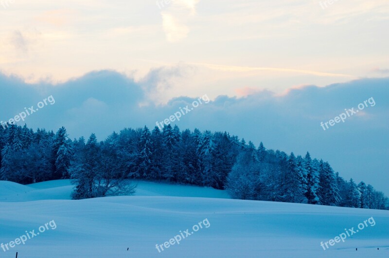 Winter Landscape Blue Christmas Fog