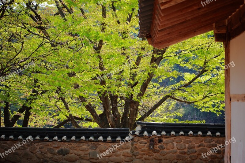 Giwajip Korean Traditional Spring Republic Of Korea Traditional Building