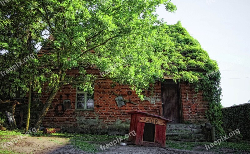 Old House Cottage Architecture The Roof Of The Open Air Museum