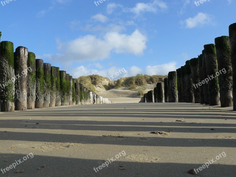 Sea Beach Poles Coast Zealand